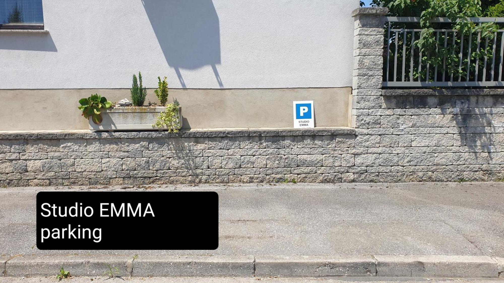 Studio Emma Ljubljana - Free Parking, Ac, Wifi 외부 사진